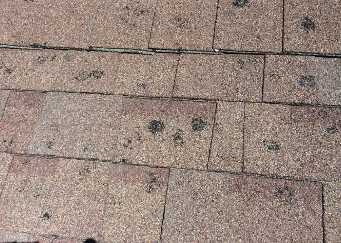 Image of asphalt shingles that have sustained hail damage