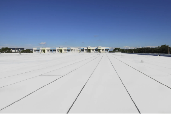 commercial building with modified bitumen roofing