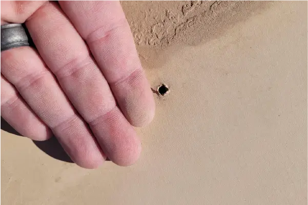 Image of a commercial roof with a puncture in it