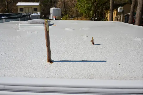 Image of tree branch puncturing commercial roof system