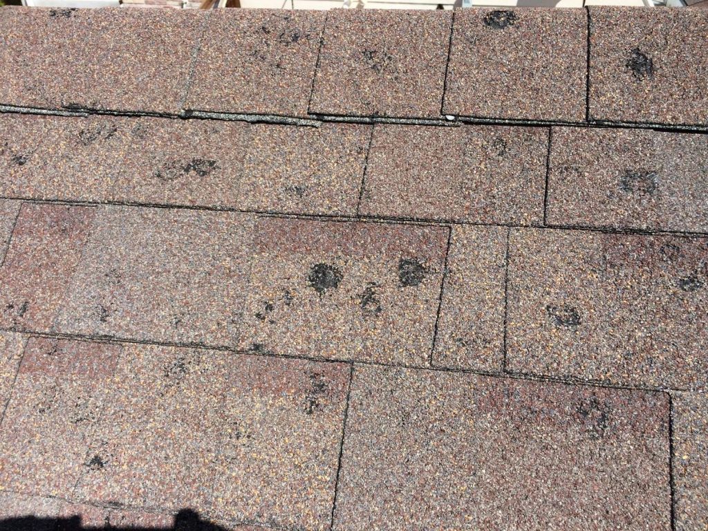 Image of asphalt shingles that have sustained hail damage